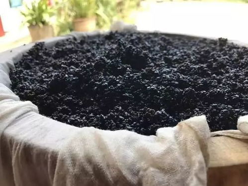 坚持吃了半年黑芝麻(坚持吃了半年黑芝麻丸会怎样),第1张 坚持吃了半年黑芝麻(坚持吃了半年黑芝麻丸会怎样),坚持吃了半年黑芝麻(坚持吃了半年黑芝麻丸会怎样),第1张