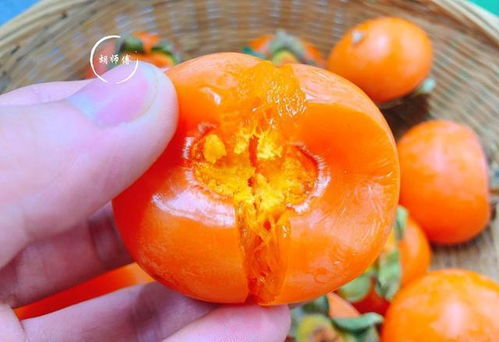 六味地黄丸功效与作用和适用人群(六味地黄丸适合哪些人群服用),第3张 六味地黄丸功效与作用和适用人群(六味地黄丸适合哪些人群服用),六味地黄丸功效与作用和适用人群(六味地黄丸适合哪些人群服用),第3张