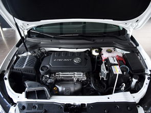 虾的做法家常做法(椒盐大虾的做法家常做法),第1张 虾的做法家常做法(椒盐大虾的做法家常做法),虾的做法家常做法(椒盐大虾的做法家常做法),第1张