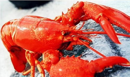 装修设计:燃气热水器品牌推荐:十款燃气热水器品牌值得信赖,第1张 装修设计:燃气热水器品牌推荐:十款燃气热水器品牌值得信赖,装修设计:燃气热水器品牌推荐:十款燃气热水器品牌值得信赖,第1张