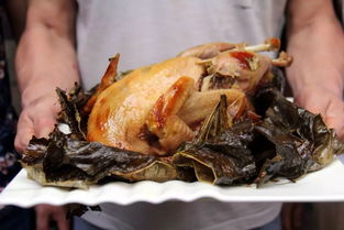 叫花鸡烤箱（叫花鸡烤箱加工）,叫花鸡烤箱（叫花鸡烤箱加工）,第3张