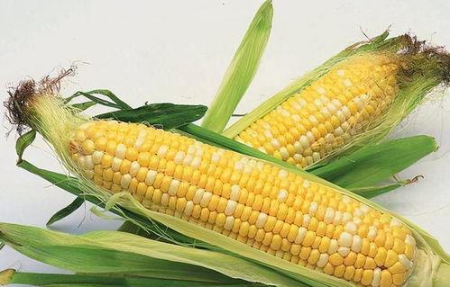 皮肤老爱过敏吃什么(皮肤爱过敏吃什么维生素),第2张 皮肤老爱过敏吃什么(皮肤爱过敏吃什么维生素),皮肤老爱过敏吃什么(皮肤爱过敏吃什么维生素),第2张