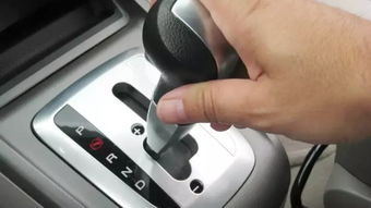 腌制圆白菜的做法大全(怎样腌制圆白菜咸菜),第2张 腌制圆白菜的做法大全(怎样腌制圆白菜咸菜),腌制圆白菜的做法大全(怎样腌制圆白菜咸菜),第2张