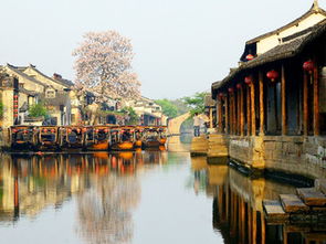 西塘古镇官网(西塘古镇官网首页),第3张 西塘古镇官网(西塘古镇官网首页),西塘古镇官网(西塘古镇官网首页),第3张