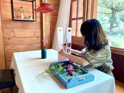 九如山门票2021(九如山门票太贵了),第1张 九如山门票2021(九如山门票太贵了),九如山门票2021(九如山门票太贵了),第1张