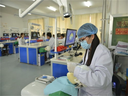 上海装潢设计:沈阳碧桂园银河城:打造优雅生活新地标!,第2张 上海装潢设计:沈阳碧桂园银河城:打造优雅生活新地标!,上海装潢设计:沈阳碧桂园银河城:打造优雅生活新地标!,第2张