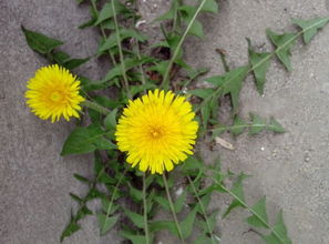 上海厂房装修:突破职场人际瓶颈,揭秘个人成长密码,第1张 上海厂房装修:突破职场人际瓶颈,揭秘个人成长密码,上海厂房装修:突破职场人际瓶颈,揭秘个人成长密码,第1张