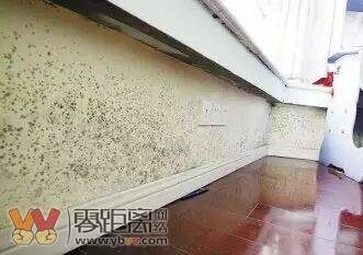 北汽新款suv(北汽新款suv前脸带字母标志),第2张 北汽新款suv(北汽新款suv前脸带字母标志),北汽新款suv(北汽新款suv前脸带字母标志),第2张