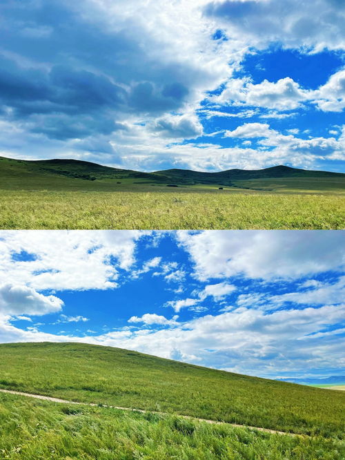 科尔沁草原自驾游(科尔沁草原自驾游费用),第3张 科尔沁草原自驾游(科尔沁草原自驾游费用),科尔沁草原自驾游(科尔沁草原自驾游费用),第3张