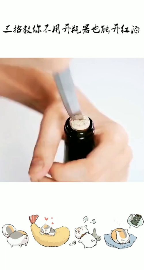 不用开瓶器开红酒(不用开瓶器如何开红酒瓶塞图解),第2张 不用开瓶器开红酒(不用开瓶器如何开红酒瓶塞图解),不用开瓶器开红酒(不用开瓶器如何开红酒瓶塞图解),第2张