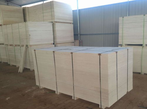 威仕特官网(威仕特官网下载),第2张 威仕特官网(威仕特官网下载),威仕特官网(威仕特官网下载),第2张