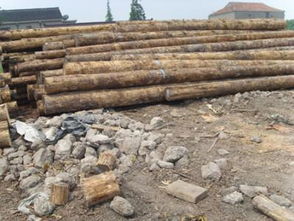 广州木材市场(广州木材市场批发),第2张 广州木材市场(广州木材市场批发),广州木材市场(广州木材市场批发),第2张