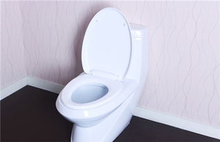 抽水马桶品牌(抽水马桶品牌最新排名图片),第2张 抽水马桶品牌(抽水马桶品牌最新排名图片),抽水马桶品牌(抽水马桶品牌最新排名图片),第2张