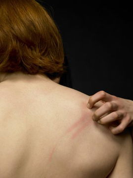 写字楼装修:从柏林橱柜看欧洲橱柜市场的发展趋势,第3张 写字楼装修:从柏林橱柜看欧洲橱柜市场的发展趋势,写字楼装修:从柏林橱柜看欧洲橱柜市场的发展趋势,第3张