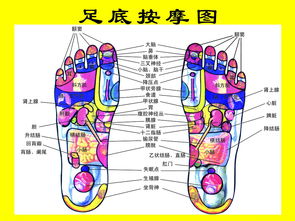 自游泳教程(自游泳手入手动作视频),第2张 自游泳教程(自游泳手入手动作视频),自游泳教程(自游泳手入手动作视频),第2张