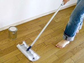 室内空气清洁(室内空气清洁最简单有效的方法是),第1张 室内空气清洁(室内空气清洁最简单有效的方法是),室内空气清洁(室内空气清洁最简单有效的方法是),第1张