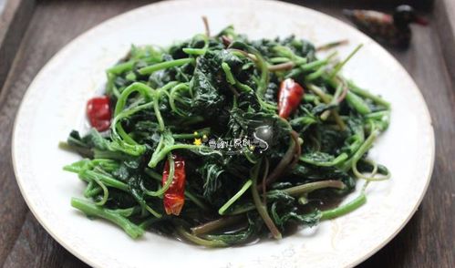 最正宗的韭菜炒蛋做法(怎么炒韭菜鸡蛋好吃又简单),第3张 最正宗的韭菜炒蛋做法(怎么炒韭菜鸡蛋好吃又简单),最正宗的韭菜炒蛋做法(怎么炒韭菜鸡蛋好吃又简单),第3张