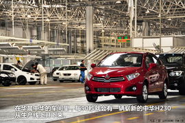 装饰设计:探寻优昙婆罗花的文化意义,第1张 装饰设计:探寻优昙婆罗花的文化意义,装饰设计:探寻优昙婆罗花的文化意义,第1张