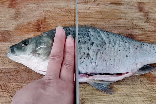 怎么把皮肤里刺拿出来(怎么把刺到皮肤里的毛刺弄出来),第1张 怎么把皮肤里刺拿出来(怎么把刺到皮肤里的毛刺弄出来),怎么把皮肤里刺拿出来(怎么把刺到皮肤里的毛刺弄出来),第1张