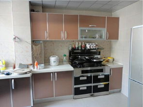 奥田集成灶(奥田集成灶质量怎么样),第2张 奥田集成灶(奥田集成灶质量怎么样),奥田集成灶(奥田集成灶质量怎么样),第2张