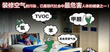 如何去除装修异味（去除装修异味最快的方法）,如何去除装修异味（去除装修异味最快的方法）,第3张