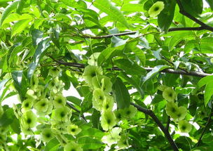 办公室装修设计:如何选择适合自己的婚纱店,第3张 办公室装修设计:如何选择适合自己的婚纱店,办公室装修设计:如何选择适合自己的婚纱店,第3张