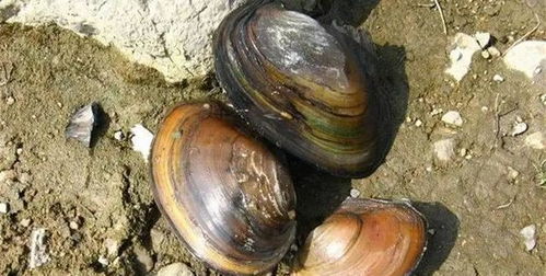 办公装修:如何参加济南家居建材团购,省下装修费用,第3张 办公装修:如何参加济南家居建材团购,省下装修费用,办公装修:如何参加济南家居建材团购,省下装修费用,第3张