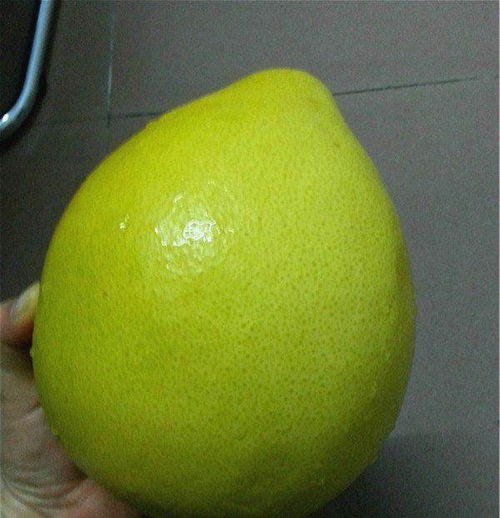 不用摇号(不用摇号直接上北京牌的车有哪些),第3张 不用摇号(不用摇号直接上北京牌的车有哪些),不用摇号(不用摇号直接上北京牌的车有哪些),第3张