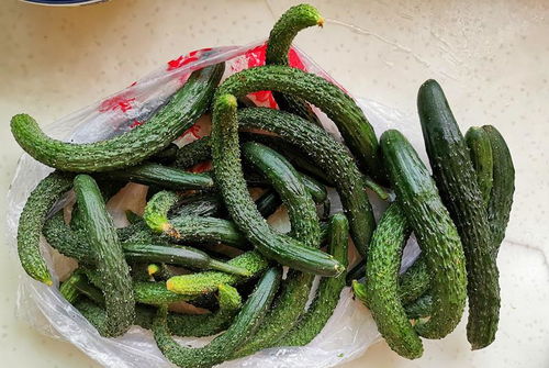 家庭腌黄瓜的做法大全（家庭腌黄瓜方法）,家庭腌黄瓜的做法大全（家庭腌黄瓜方法）,第1张