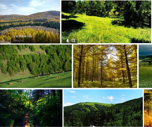 第二年买车险（第二年买车险在4s店好还是去保险公司好?）,第二年买车险（第二年买车险在4s店好还是去保险公司好?）,第3张