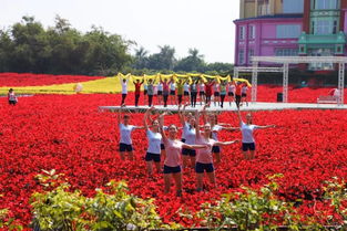 苦茶的作用(苦茶的作用是什么),第1张 苦茶的作用(苦茶的作用是什么),苦茶的作用(苦茶的作用是什么),第1张