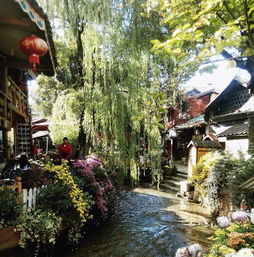 丽江火车站(丽江火车站怎么去丽江古城),第3张 丽江火车站(丽江火车站怎么去丽江古城),丽江火车站(丽江火车站怎么去丽江古城),第3张