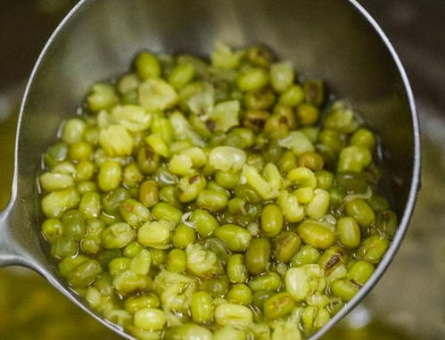 绿豆水(绿豆水煮几分钟最降火),第1张 绿豆水(绿豆水煮几分钟最降火),绿豆水(绿豆水煮几分钟最降火),第1张