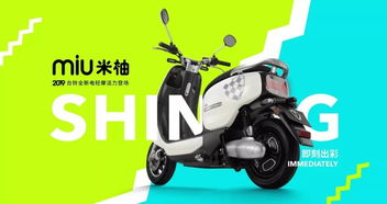 铃木电动车(铃木电动车是品牌吗),第2张 铃木电动车(铃木电动车是品牌吗),铃木电动车(铃木电动车是品牌吗),第2张