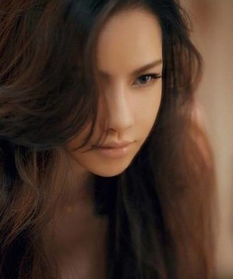 云南省人事人才信息网（云南省人才资源网）,云南省人事人才信息网（云南省人才资源网）,第2张