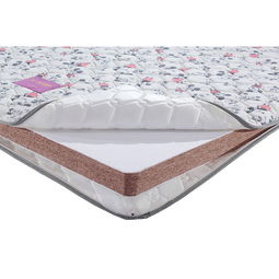 胶水棕垫(床垫胶水棕垫),第2张 胶水棕垫(床垫胶水棕垫),胶水棕垫(床垫胶水棕垫),第2张