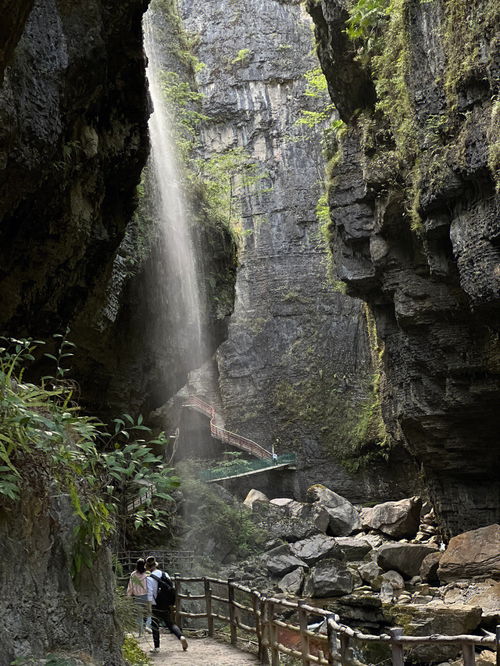 烤鸡腿的制作方法及步骤(烤鸡腿的制作方法及步骤视频),第1张 烤鸡腿的制作方法及步骤(烤鸡腿的制作方法及步骤视频),烤鸡腿的制作方法及步骤(烤鸡腿的制作方法及步骤视频),第1张