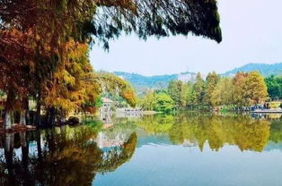 情人谷在哪里(旅游景点情人谷在哪里),第1张 情人谷在哪里(旅游景点情人谷在哪里),情人谷在哪里(旅游景点情人谷在哪里),第1张