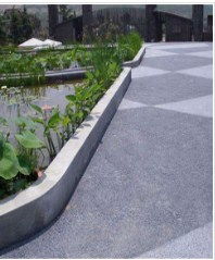 香菜的功效与作用肾脏（香菜尽量少吃最好不吃）,香菜的功效与作用肾脏（香菜尽量少吃最好不吃）,第3张