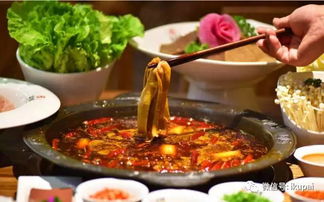 重庆老火锅底料配方及制作（重庆老火锅底料配方及制作方法视频）,重庆老火锅底料配方及制作（重庆老火锅底料配方及制作方法视频）,第2张