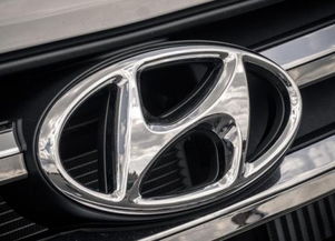 车架号后六位（车架号后六位有字母吗）,车架号后六位（车架号后六位有字母吗）,第1张