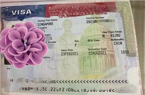 新加坡**美国签证被拒概率（在新加坡**美国签证通过率高吗）,新加坡**美国签证被拒概率（在新加坡**美国签证通过率高吗）,第3张