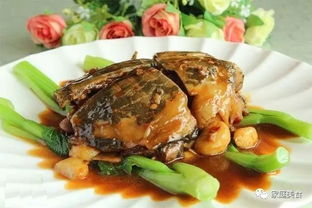 甲鱼的做法大全家常菜(甲鱼的做法大全窍门),第1张 甲鱼的做法大全家常菜(甲鱼的做法大全窍门),甲鱼的做法大全家常菜(甲鱼的做法大全窍门),第1张