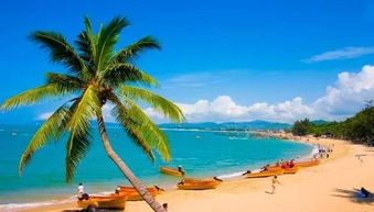 海南正规旅行社有哪些（海南旅游哪个旅行社便宜）,海南正规旅行社有哪些（海南旅游哪个旅行社便宜）,第2张