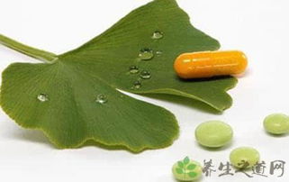 白果叶（白果叶的功效与主治）,白果叶（白果叶的功效与主治）,第3张