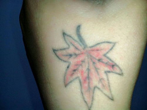 降糖草(降糖草药有哪些?),第3张 降糖草(降糖草药有哪些?),降糖草(降糖草药有哪些?),第3张