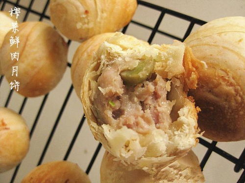 榨菜鲜肉月饼(榨菜鲜肉月饼热量),第3张 榨菜鲜肉月饼(榨菜鲜肉月饼热量),榨菜鲜肉月饼(榨菜鲜肉月饼热量),第3张