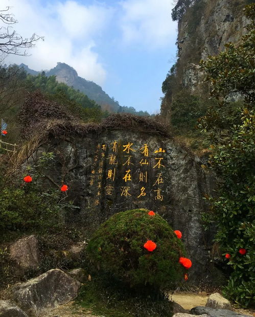 装潢公司:探秘橄榄君庭——品味古典建筑魅力,第2张 装潢公司:探秘橄榄君庭——品味古典建筑魅力,装潢公司:探秘橄榄君庭——品味古典建筑魅力,第2张