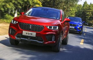 wey(wey vv5),第1张 wey(wey vv5),wey(wey vv5),第1张