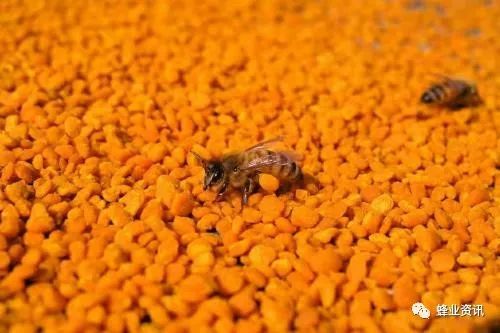 上海办公装修设计:从班级文化角度设计文化墙,营造良好氛围,第2张 上海办公装修设计:从班级文化角度设计文化墙,营造良好氛围,上海办公装修设计:从班级文化角度设计文化墙,营造良好氛围,第2张